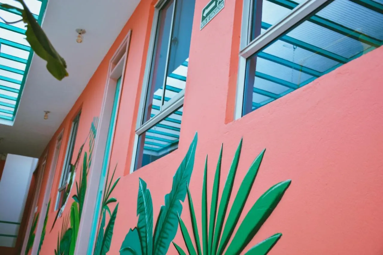 Flamingo Hostel & Coworking Santa Marta   Santa Marta (Magdalena)