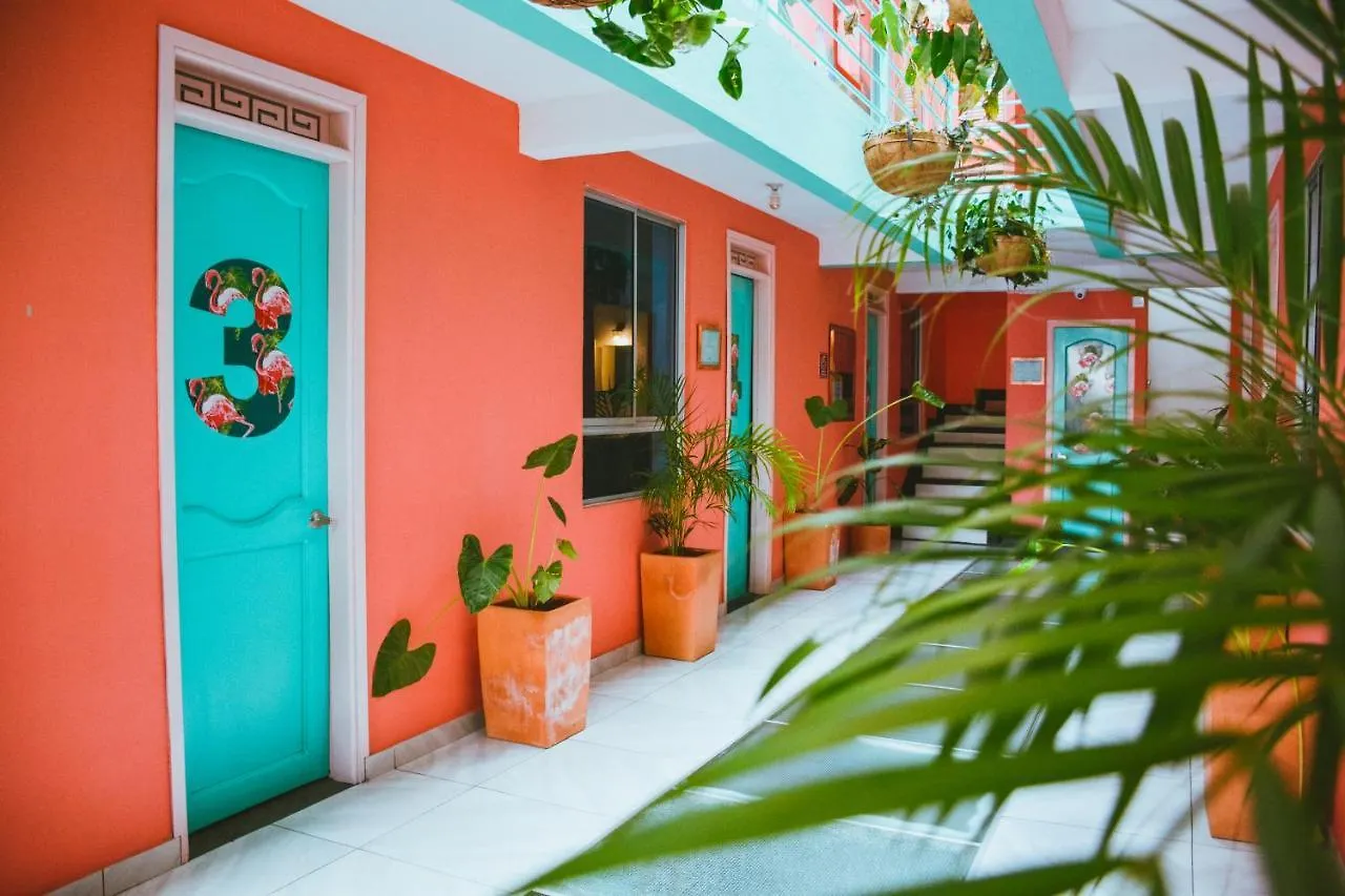 Flamingo Hostel & Coworking Santa Marta  Colombia