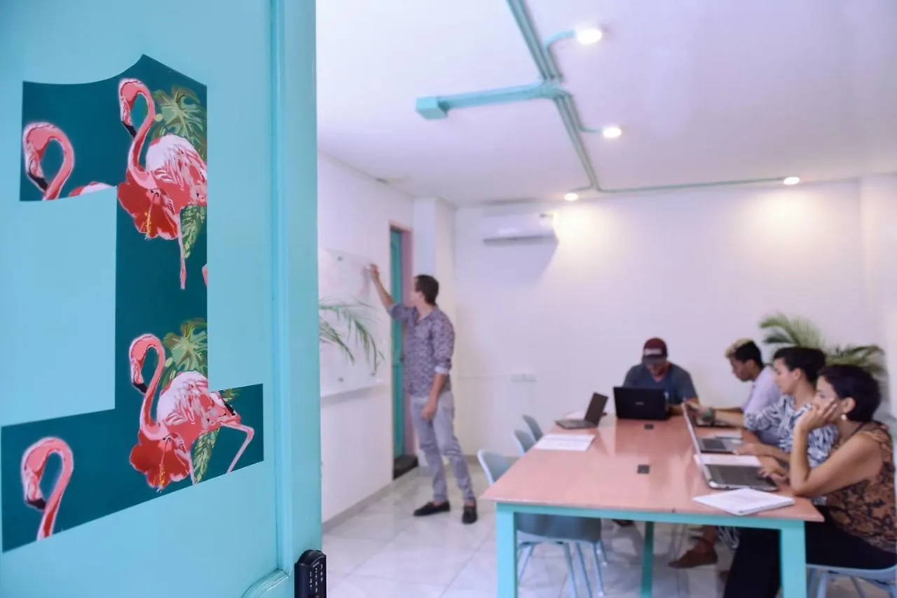 Flamingo Hostel & Coworking Santa Marta